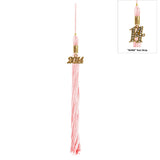 Shiny Pink High School Cap & Tassel